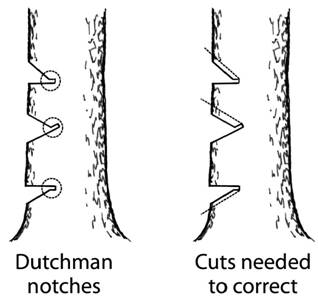 Dutchman / bypass